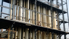 Plant Strucure Coating