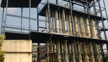 Plant Strucure Coating