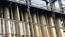 Plant Strucure Coating